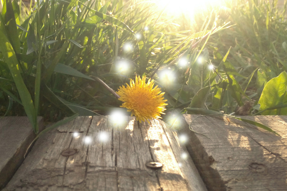Die spirituelle Dimension von Reiki